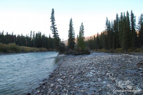 Der Bow River neben dem Lake-Louise-Campground